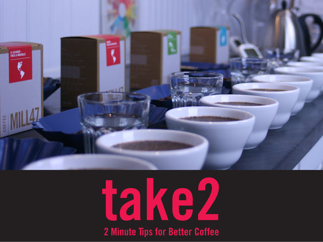 Cupping Scores
