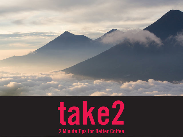 Challenges of Growing Coffee at High Altitudes