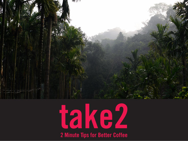 Is Shade Grown Coffee Better?