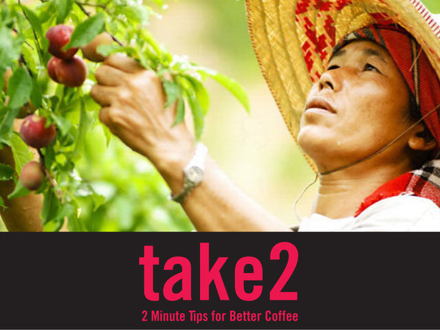The New World of Thai Coffee