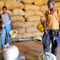 Ethiopia—Burka Gudina Estate ($5.95/lb) Green Coffee Mill47 Coffee