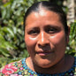 Guatemala—Cimarron ($5.35/lb) Green Coffee Mill47 Coffee