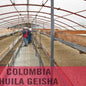 Colombia—Huila Milagros Geisha ($7.85/lb)