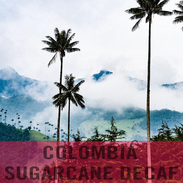 Colombia—Sugarcane Decaf ($5.75/lb) Green Coffee Mill47 Coffee 