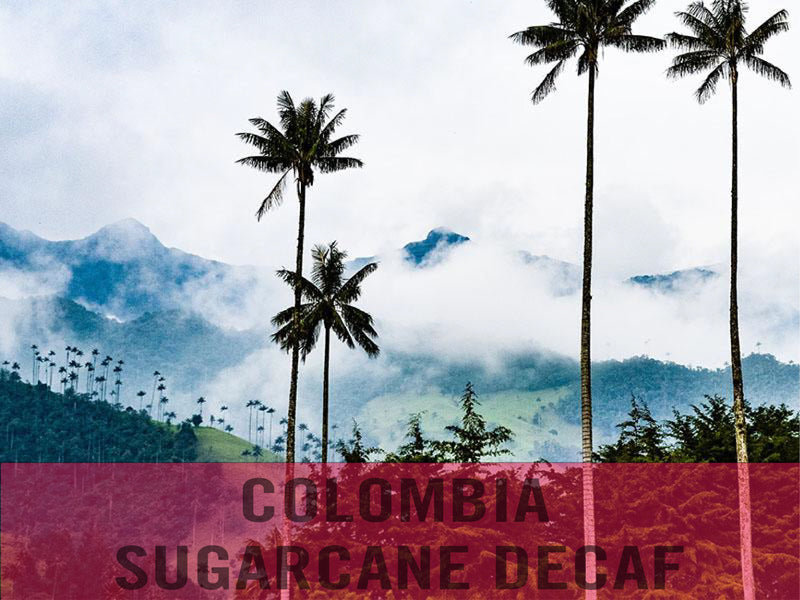 Colombia—Sugarcane Decaf ($5.75/lb) Green Coffee Mill47 Coffee 