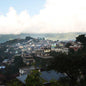 Guatemala—Huehue CODECH Micro Lot ($5.35/lb) Green Coffee Mill47 Coffee
