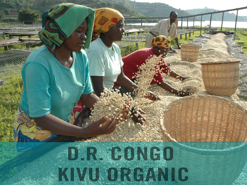 D.R. Congo—Kivu Organic ($5.95/lb) Green Coffee Mill47 Coffee
