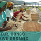 D.R. Congo—Kivu Organic ($5.95/lb) Green Coffee Mill47 Coffee 