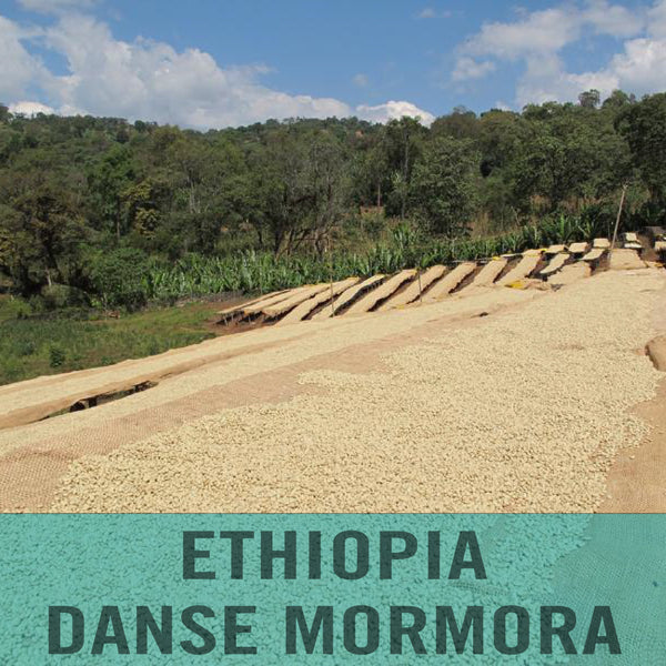 Ethiopia—Guji Danse Mormora ($4.75/lb) Green Coffee Mill47 Coffee
