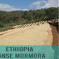 Ethiopia—Guji Danse Mormora ($4.75/lb) Green Coffee Mill47 Coffee