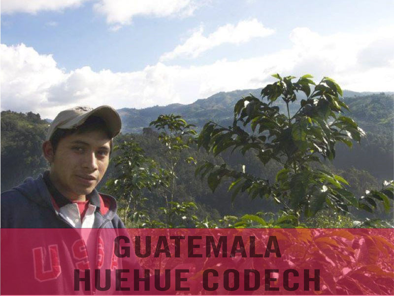 Guatemala—Huehue CODECH Micro Lot ($5.35/lb) Green Coffee Mill47 Coffee