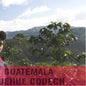 Guatemala—Huehue CODECH Micro Lot ($5.35/lb) Green Coffee Mill47 Coffee