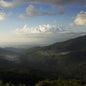 Guatemala—Huehue CODECH Micro Lot ($5.35/lb) Green Coffee Mill47 Coffee
