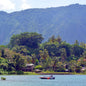 Sumatra — Tano Batak Lintong ($6.50/lb) Green Coffee Mill47 Coffee