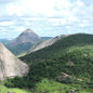 Brazil—Matas de Minas ($4.50/lb) Green Coffee Mill47 Coffee