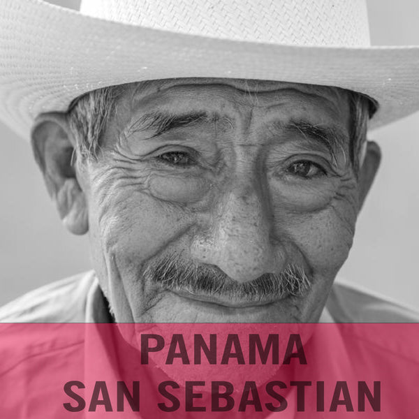 Panama—San Sebastian Estate ($5.15/lb) Green Coffee Mill47 Coffee