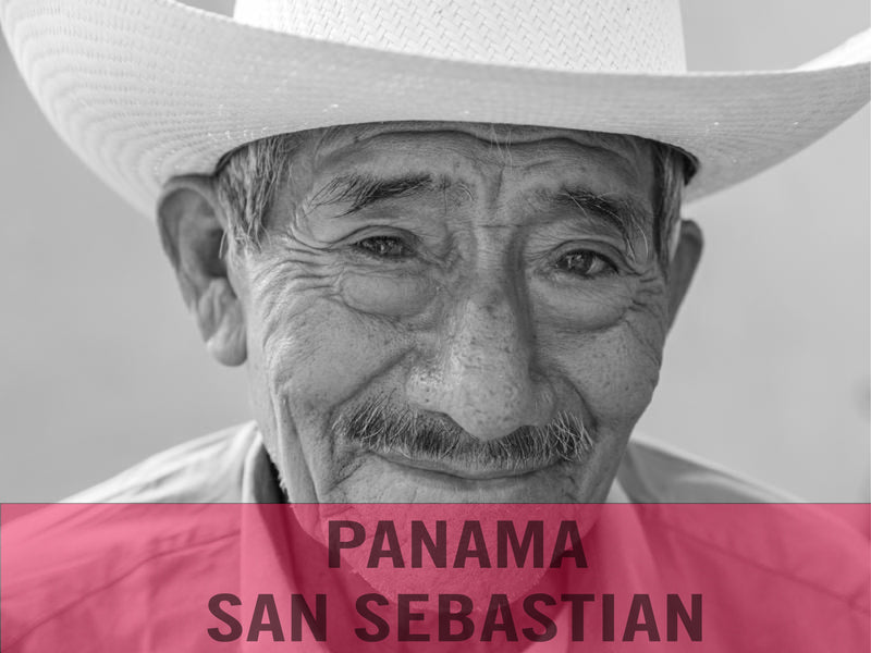 Panama—San Sebastian Estate ($5.15/lb) Green Coffee Mill47 Coffee