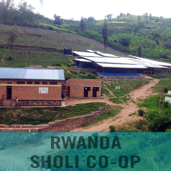 Rwanda—Sholi Women's Co-op ($5.20/lb) Green Coffee Mill47 Coffee 