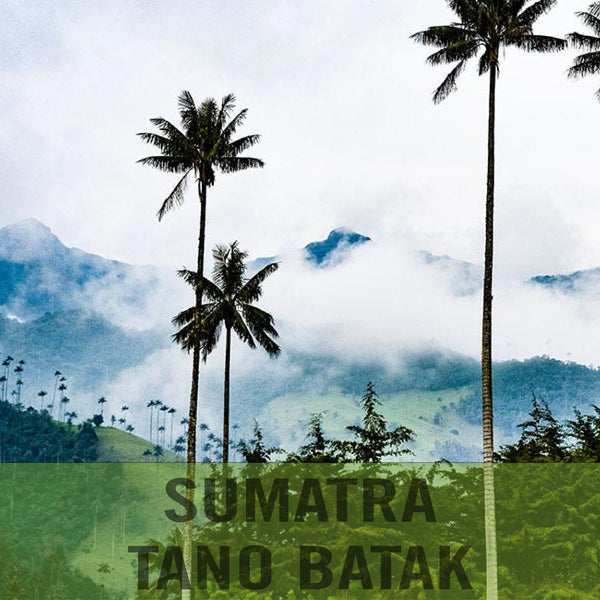 Sumatra — Tano Batak Lintong ($6.50/lb) Green Coffee Mill47 Coffee 