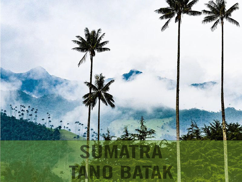 Sumatra — Tano Batak Lintong ($6.50/lb) Green Coffee Mill47 Coffee 
