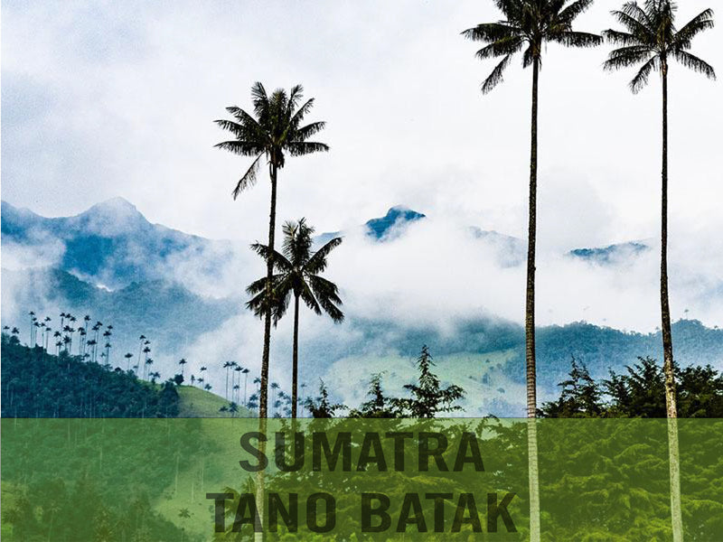 Sumatra — Tano Batak Lintong ($6.50/lb) Green Coffee Mill47 Coffee