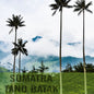 Sumatra — Tano Batak Lintong ($6.50/lb) Green Coffee Mill47 Coffee