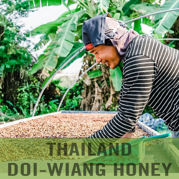 Thailand—Doi Wiang Honey Process ($5.95/lb)