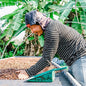 Thailand—Doi Wiang Natural ($5.95/lb)