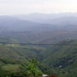 Colombia—Huila Excelso EP ($4.50/lb) Green Coffee Mill47 Coffee