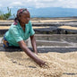 D.R. Congo—Kivu Organic ($5.95/lb) Green Coffee Mill47 Coffee