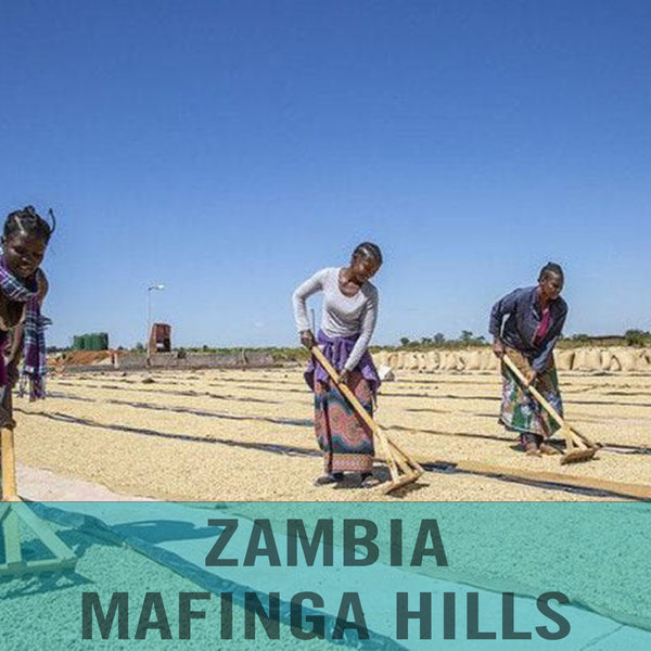 Zambia—Mafinga Hills ($4.75/lb) Green Coffee Mill47 Coffee 