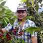 Colombia—Huila Milagros Geisha ($7.85/lb)
