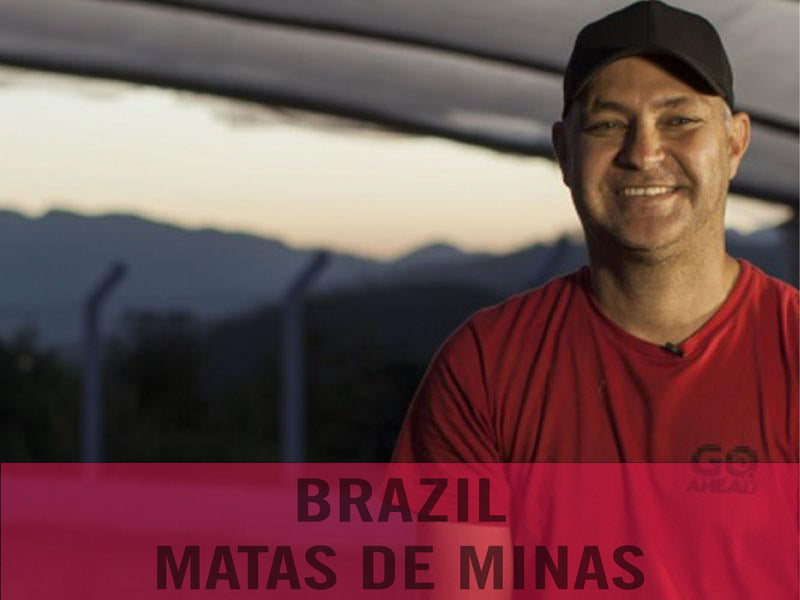 Brazil—Matas de Minas ($4.50/lb) Green Coffee Mill47 Coffee 