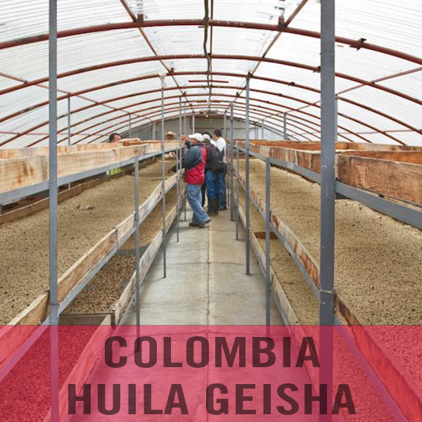 Colombia—Huila Milagros Geisha ($7.85/lb)