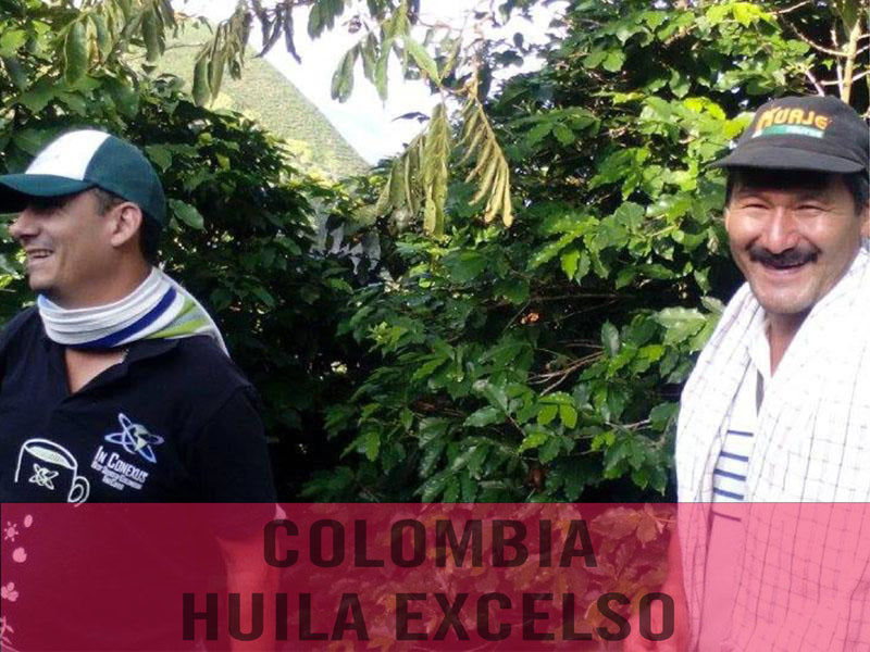 Colombia—Huila Excelso EP ($4.50/lb) Green Coffee Mill47 Coffee 