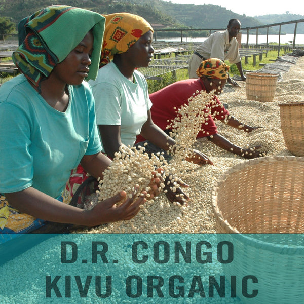 D.R. Congo—Kivu Organic ($5.95/lb) Green Coffee Mill47 Coffee 