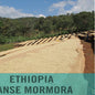 Ethiopia—Guji Danse Mormora ($4.75/lb) Green Coffee Mill47 Coffee 