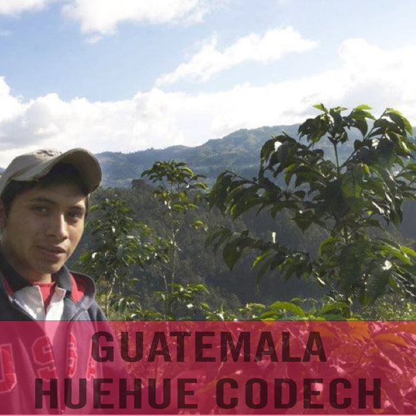Guatemala—Huehue CODECH Micro Lot ($5.35/lb) Green Coffee Mill47 Coffee 