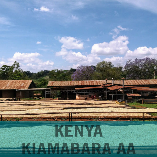Kenya—Kiamabara AA ($7.15/lb)