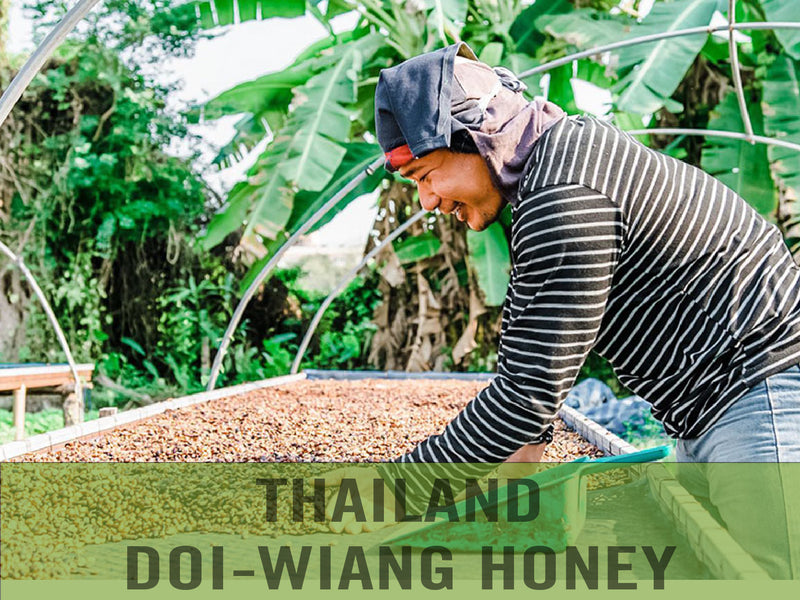 Thailand—Doi Wiang Honey Process ($5.95/lb)